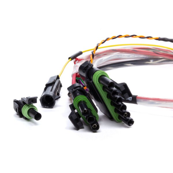 QuickCar Wiring Harness SPEC Asphalt Late Model